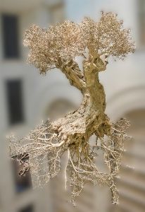 Fundamentals of Olive Tree Physiology  