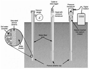 Moisture Monitoring: A Key to Sustainable Olive Irrigation and Quality 