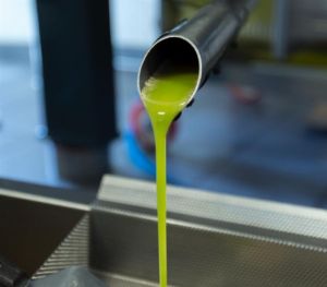 Processing Aids for Olive Oil Extraction: Functions, Benefits and Practical Application 