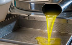 How Esterification Happens and the Conditions That Allow It 