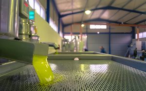How to Value Olive Oil Processing Machinery and Farm Equipment In Australia 