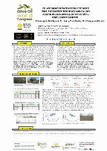 Relationship Between Production Per Tree, Productive Efficiency And Canopy Volume  