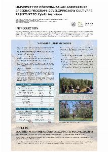 Developing New Olive Cultivars Resistant To Xylella fastidiosa 