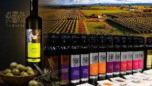 Billimari Olives to Close After Two Decades, Leaving Major Processing Gap in Central NSW 