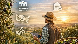 Where to find Government Grants for Olive Growers and Agribusiness 