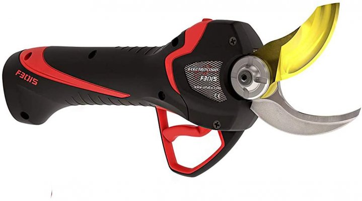 Electric Pruning Tools for Professionals