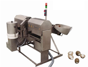 Olives Pitting & Stuffing Machine<br>with high density pastes.