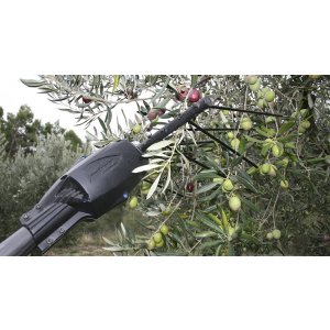 Electroliv Harvesting Rake 12V by Infaco harvesting olives