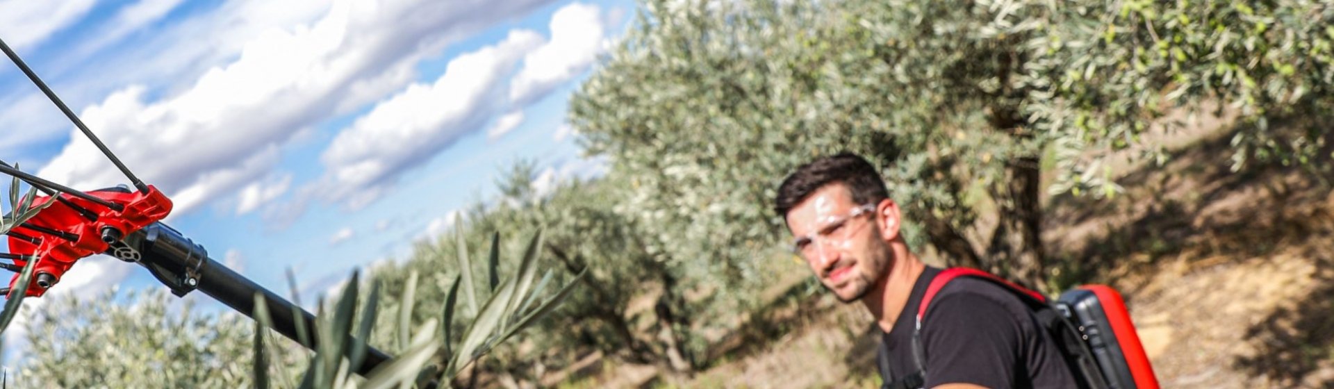 Olive Harvesting Tools & Machinery