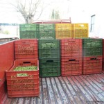 vacuum-processing-trial-fruit-150x150