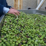 vacuum-processing-trial-fruit-2-150x150